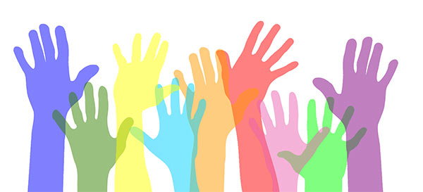 View Service Organizations